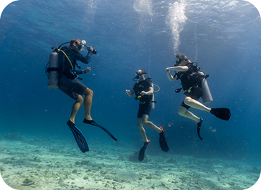 û�ҳ� ��Ų������